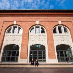 Toulouse School Of Management