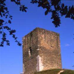 Tour D'albon