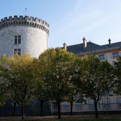 Tour Demi-ronde