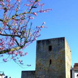Tour Des Voués