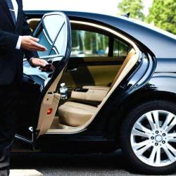 Tour Taxis Trans