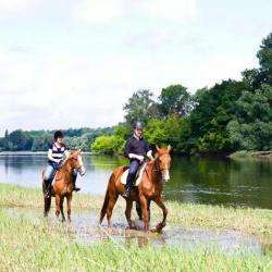 Touraine Cheval