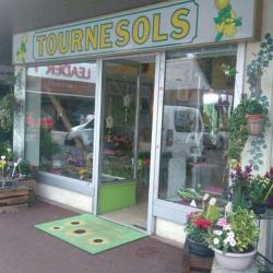 Tournesols