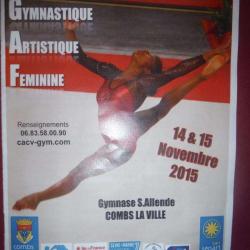 Tournoi International De Gymnastique