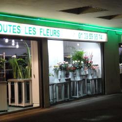 Toutes Les Fleurs