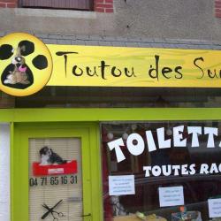 Toutou Des Sucs
