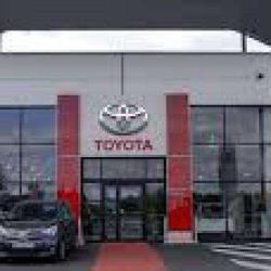 Toyota Lorient - Cobredia