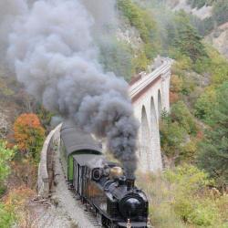 Train Des Pignes