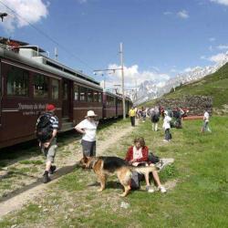 Train Du Mont Blanc