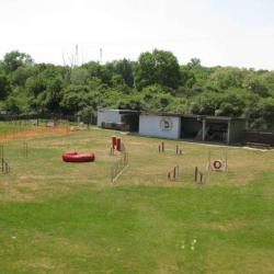 Training Club Canin