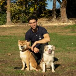 Training Dog