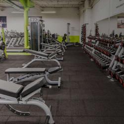 Training-go