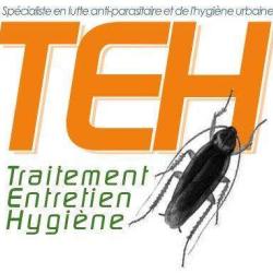 Traitement Entretien Hygiène (t.e.h)