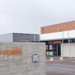Transgallia