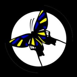 Transport Papillon
