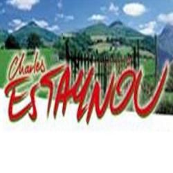 Estaynou