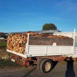Travaux Forestiers Cevennes Clairs