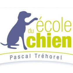 A Tout Chat Et Chien