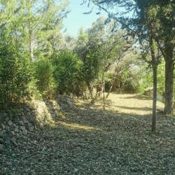 Trenca Paysage