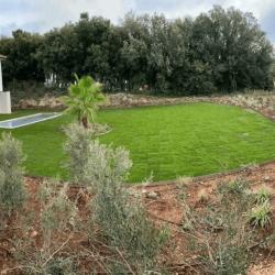 Trenca Paysage