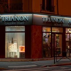 Trianon Antiquités