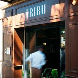 Tribu