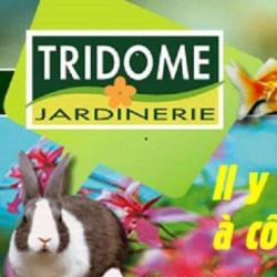 Tridôme