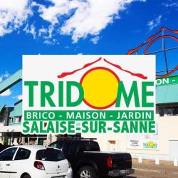 Tridôme