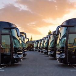 Trip Autocar