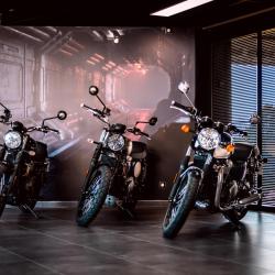 Triumph Ambutrix