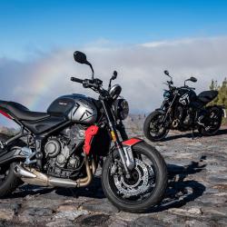 Triumph Dijon