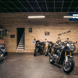 Triumph Lanester