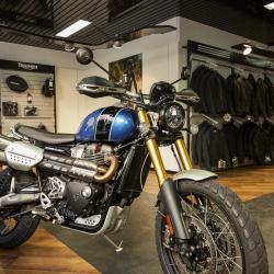 Triumph Marseille