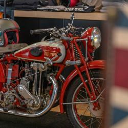 Triumph Nice