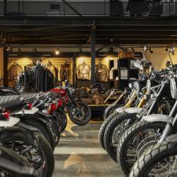 Triumph Rouen