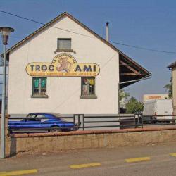 Trocami