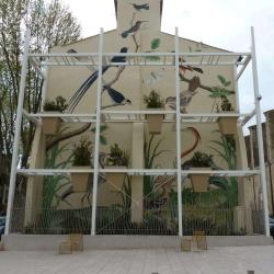 Trompe L' Oeil Les Oiseaux De Buffon