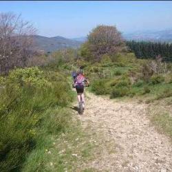 Trottinette Tout Terrain