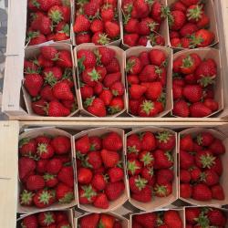 Trouvailles Et Terroirs