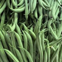 Trouvailles Et Terroirs
