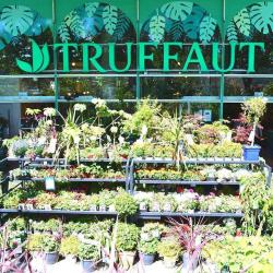 Truffaut