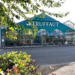 Truffaut