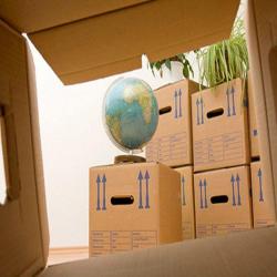 Trv Transports