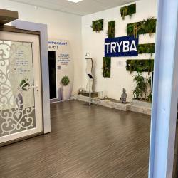 Tryba