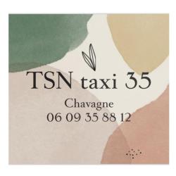 Tsn Taxi 35