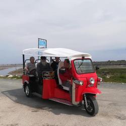 Tuk-tuk Io Nature