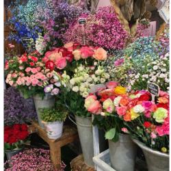 Un Air De Provence
