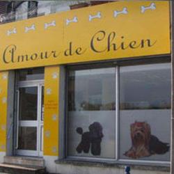 Un Amour De Chien