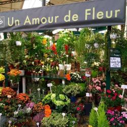 Un Amour De Fleur