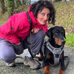 Un Chien Au Poil